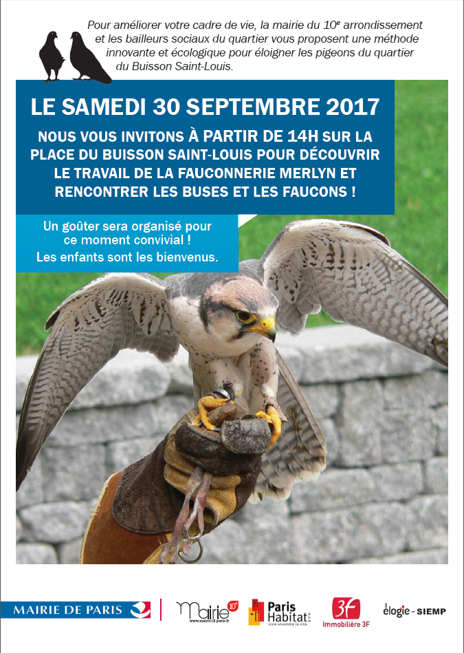 opérations pigeons.png