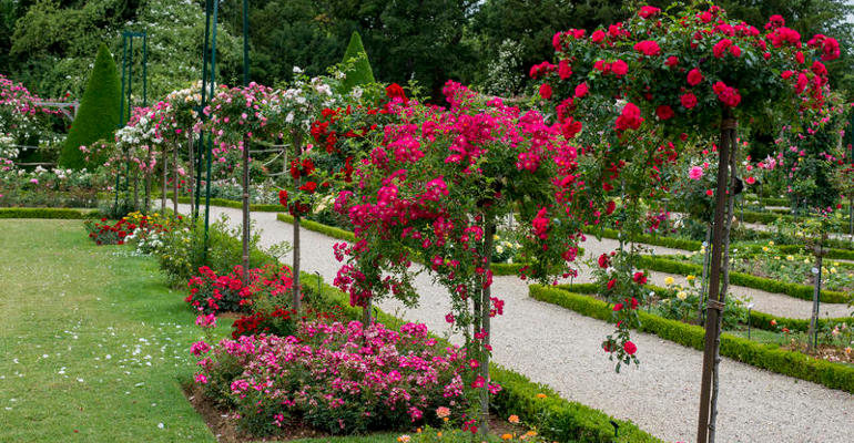 Les Jardins De Bagatelle Paris
