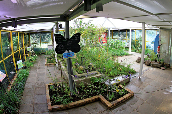 Le Jardin Des Papillons Ville De Paris