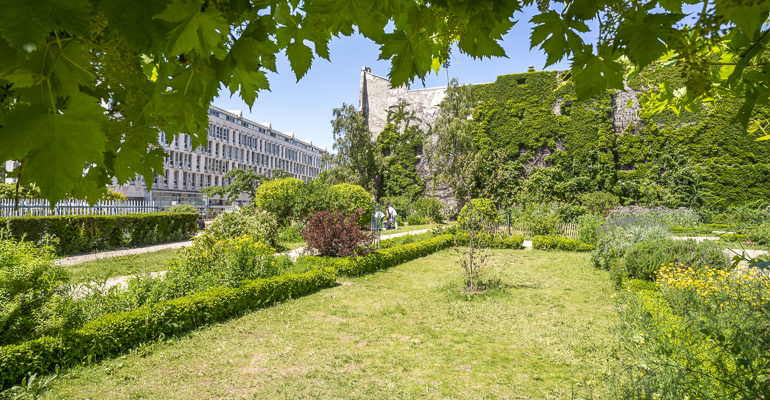 jardin des arts albert schweitzer ville de paris