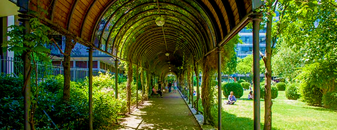 Le-jardin-claire-motte.jpg Le jardin Claire Motte