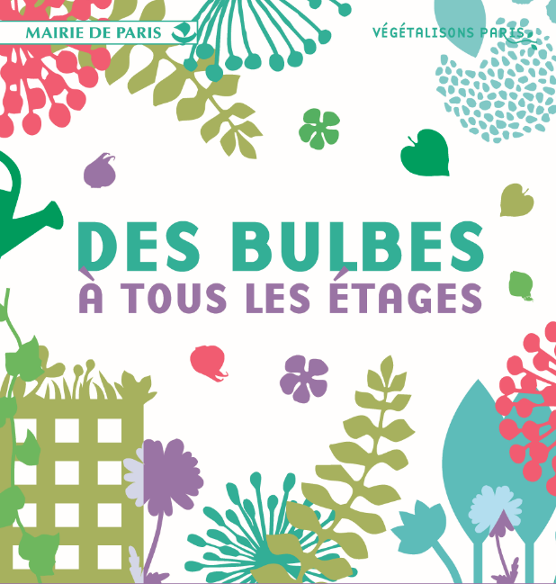 bulbes à tous les étages.png