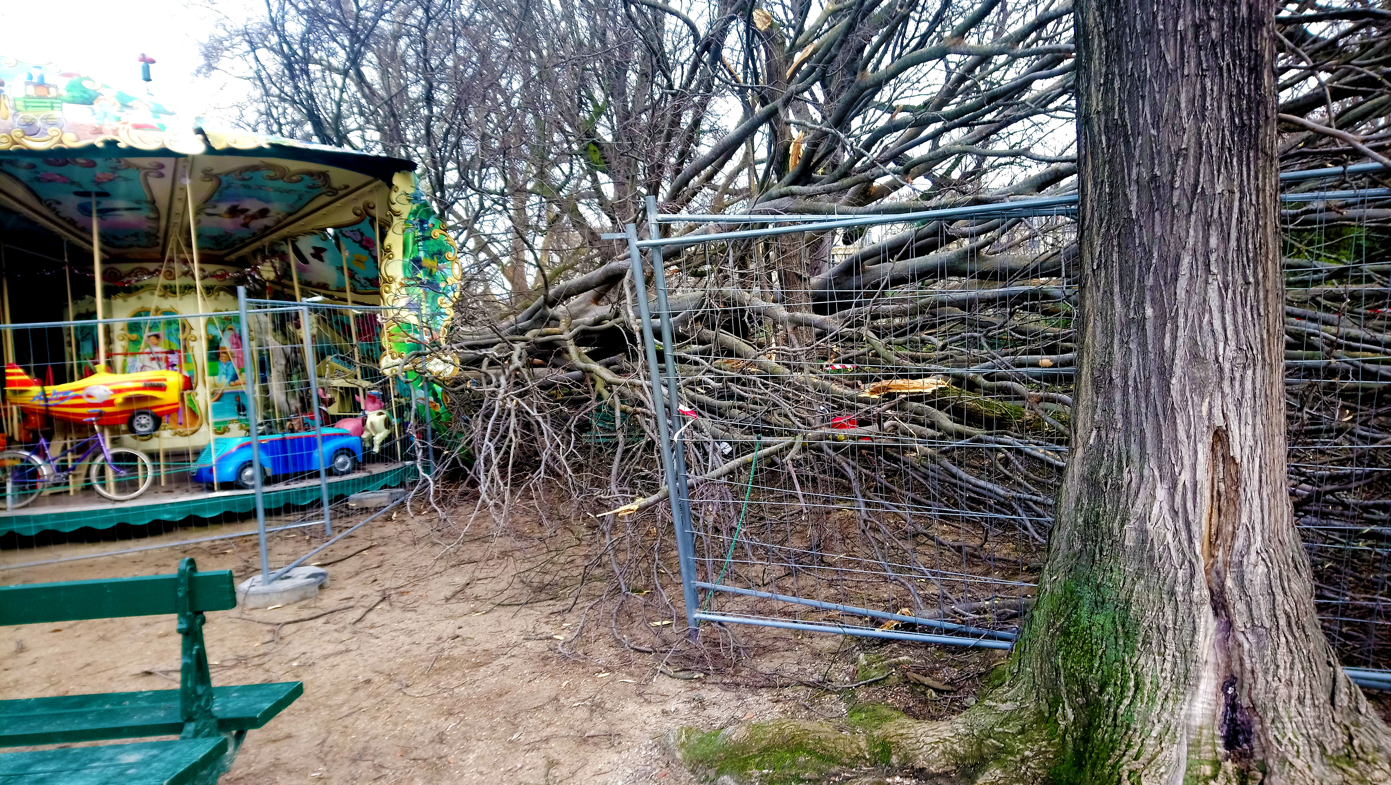 WEB-DSC_0091.jpg