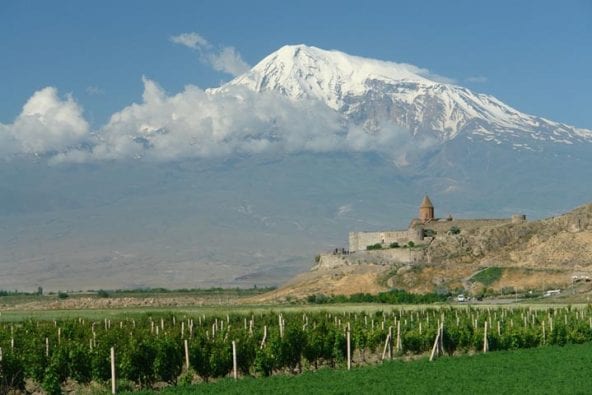 viognes armenie-min.jpg