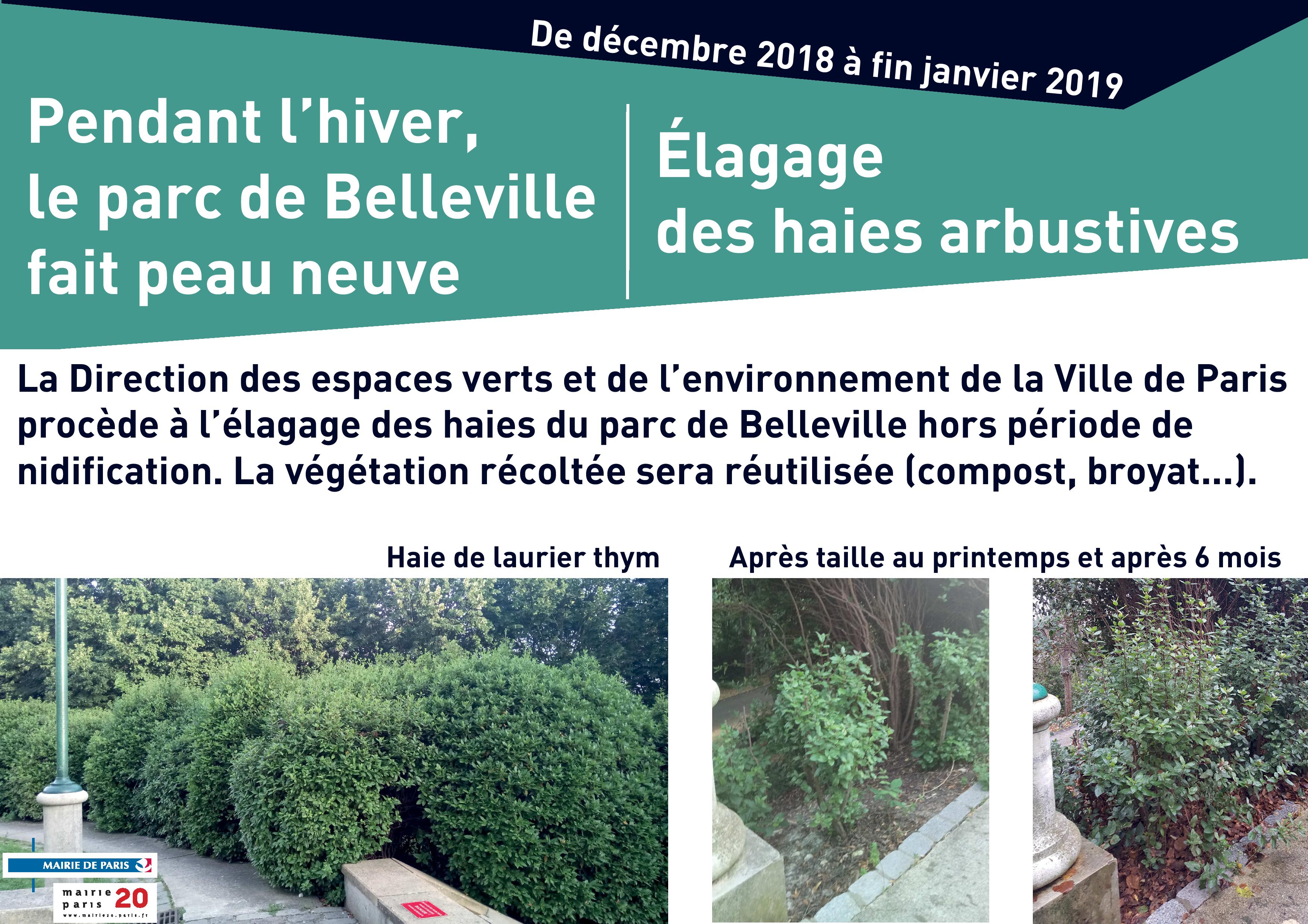 Affiche élagage parc de Belleville hiver 2018 2019