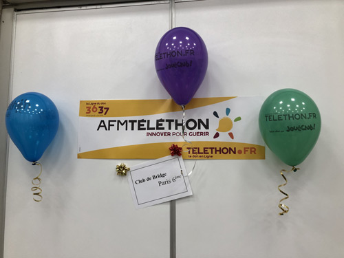 visu-bridge-telethon-2