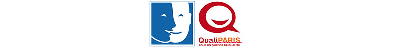 visu-pictos-handicap-qualiparis