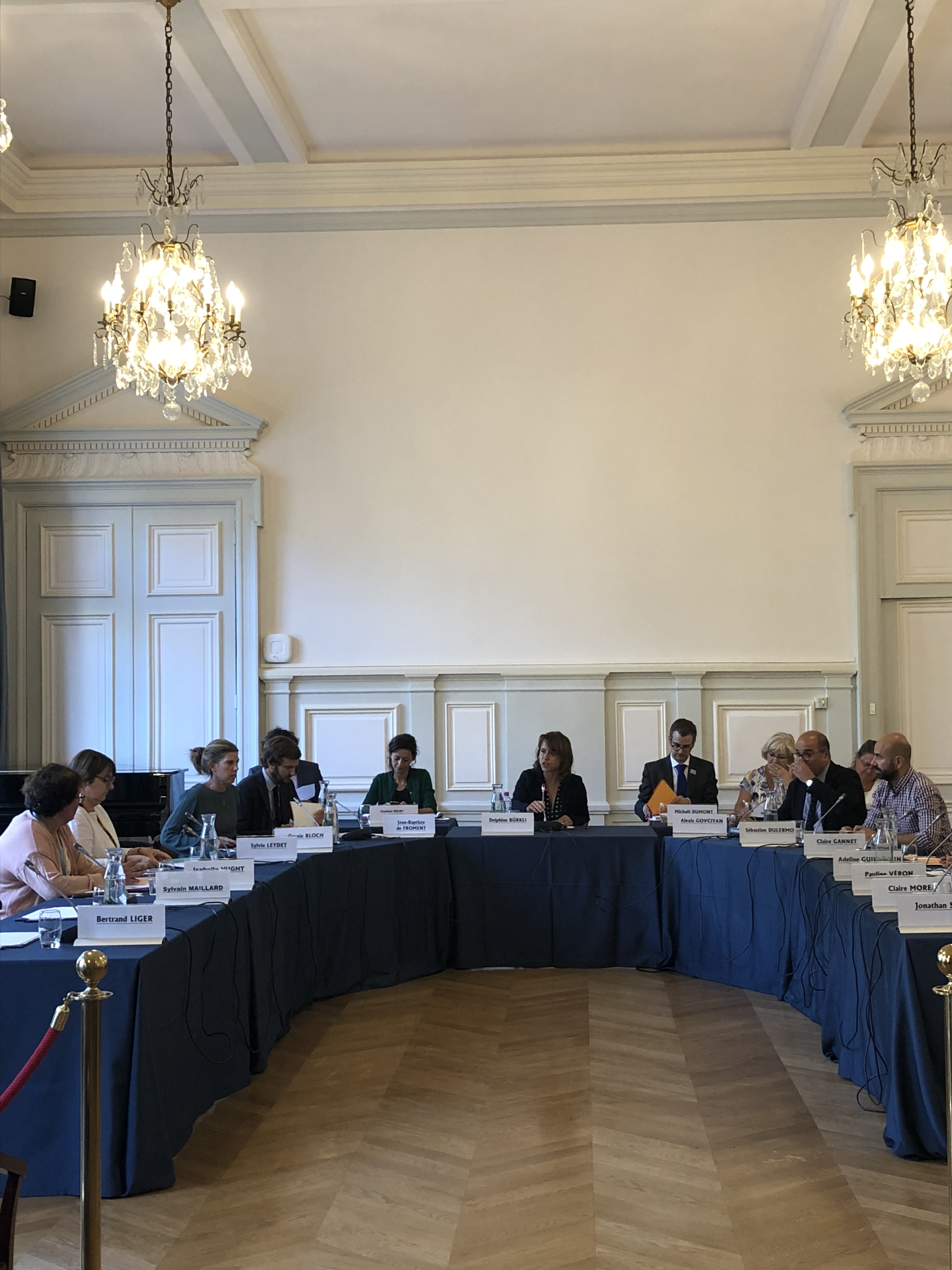 Conseil d'arrondissement copie.jpg