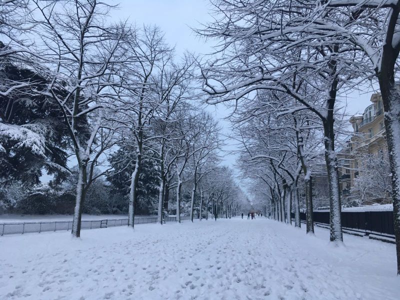 Champ de mars18.jpg (DR)