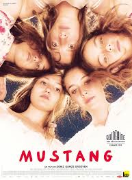 mustang.jpg