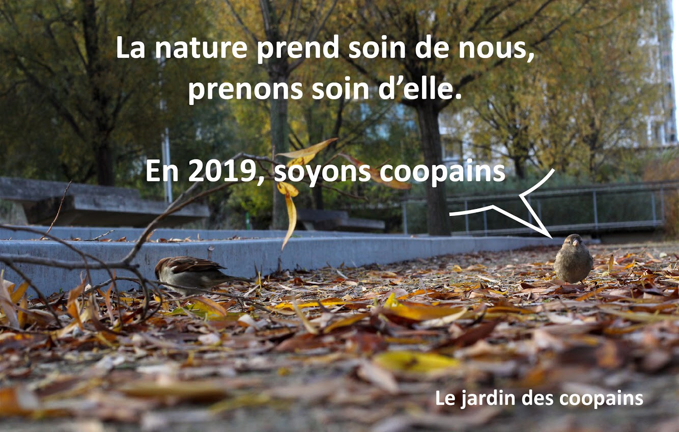 voeux-2019.jpg
