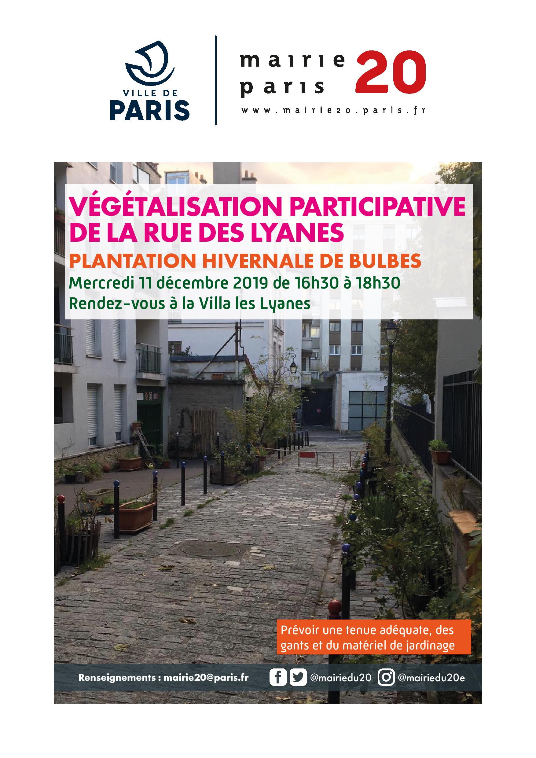 191211_vegetalisation_rue des lyanes