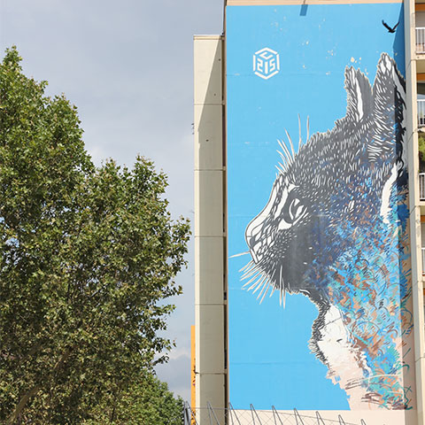C215-141Auriol.jpg