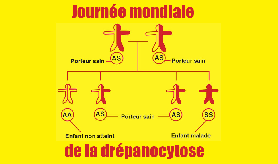 drepanocytose 2019 journée mondiale