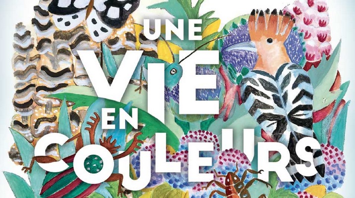 Une vie en Couleurs exposition médiatheque Françoise Sagan