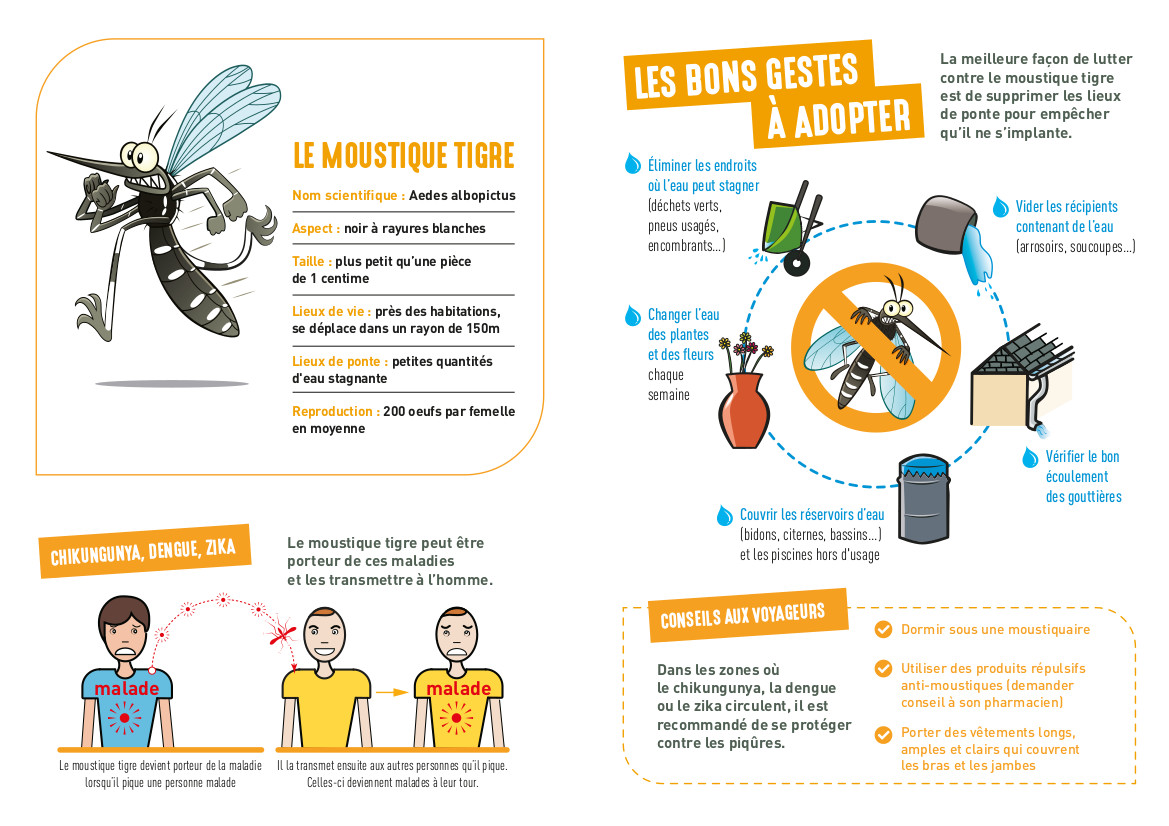 2-plaquette-moustiques-75web.jpeg (V.dP) Plaquette informative lutte contre le moustique tigre