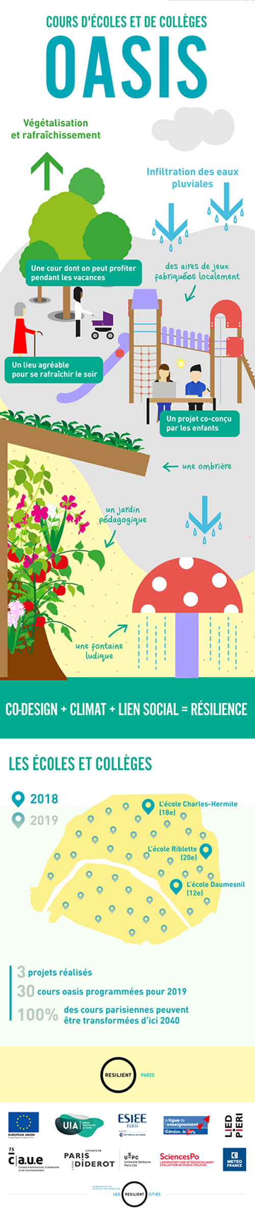 infographie cours oasis