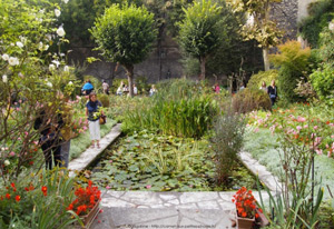 visu-jdp-image-7.jpg