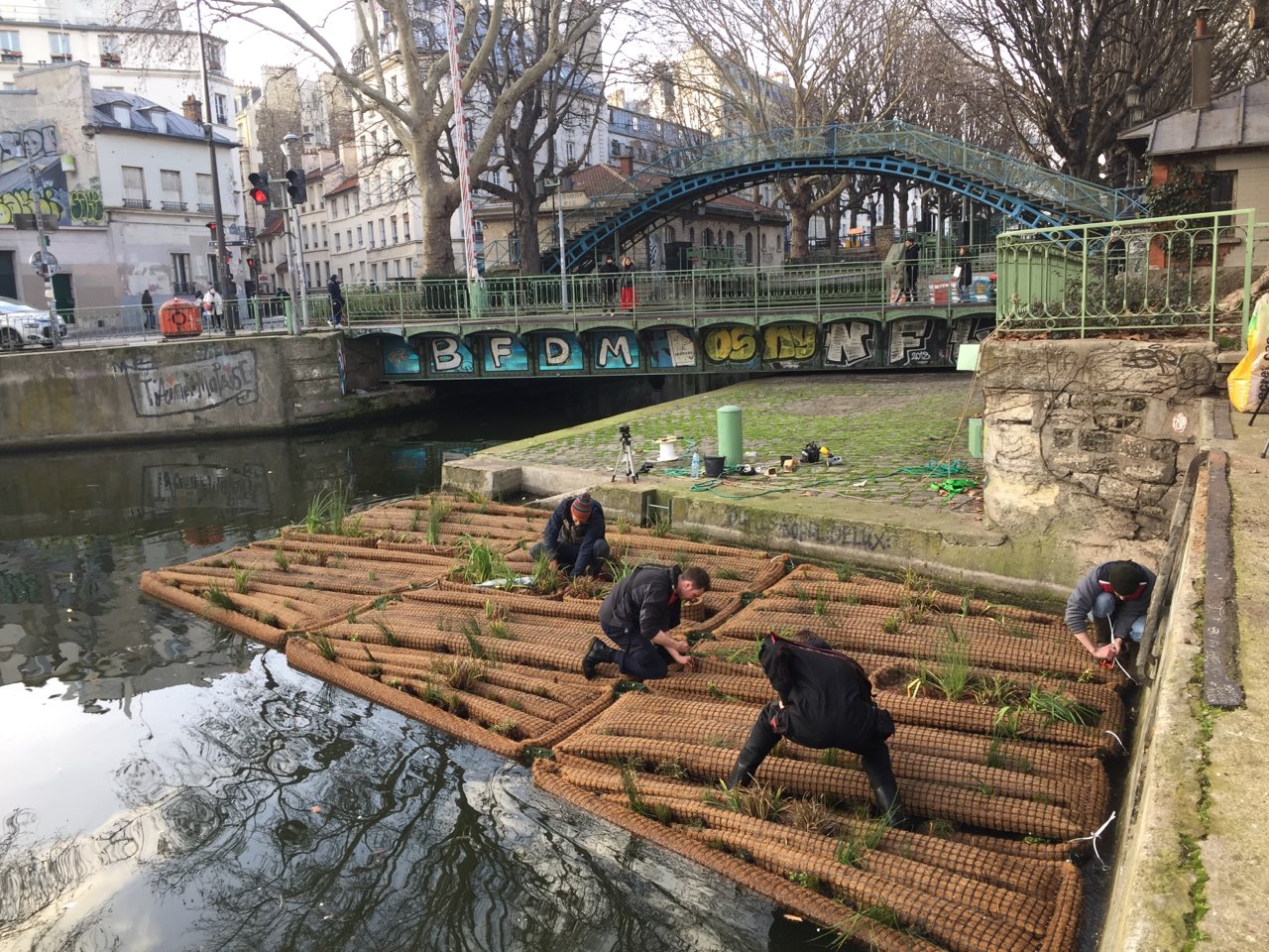 Installation de l'îlot végétalisé