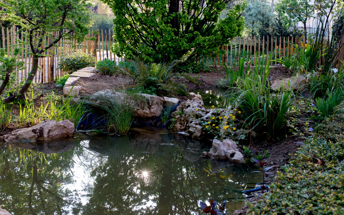Zone humide - Biodiversité - Jardin Villemin.jpg (Jean-Pierre Viguié - Ville de Paris)