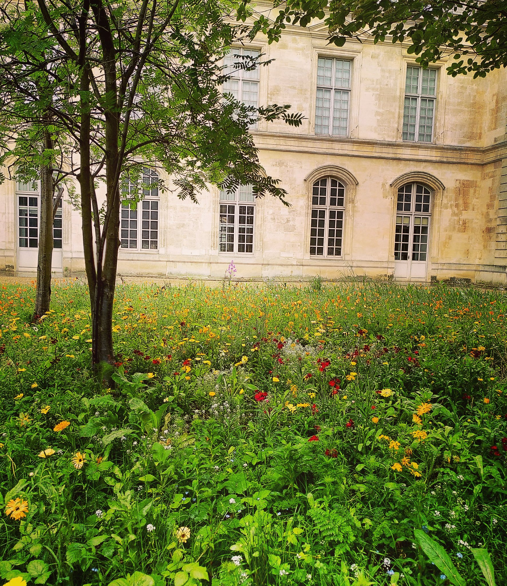 photo jardin partagé.jpeg