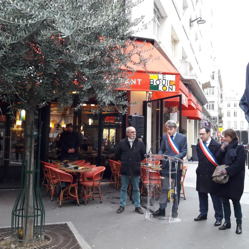 Arbre de la laïcité.jpg