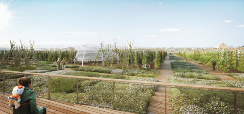 toiture.png (NU Nature urbaine Paris)