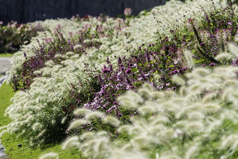Jardin - Nature - Fleurs.jpg (Émilie Chaix - Ville de Paris)