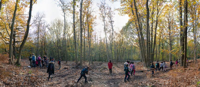 Visite en forêt des enfants Montmorency (F. Grunberg/Mairie de Paris) Visite en forêt des enfants Montmorency