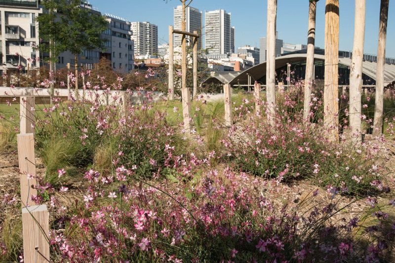 Jardin Charcot 13e nature à Paris (Guillaume Bontemps /Mairie de Paris)