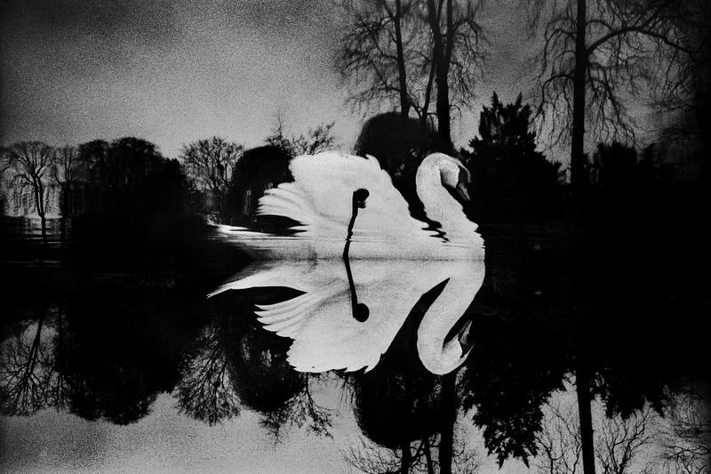 Photographie de Yusuf Sevincli : expo "Photographier Paris" (Yusuf Sevincli) Photographie de Yusuf Sevincli