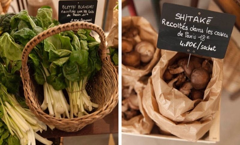 Boutique Alma grown in town (Instant Parisien)