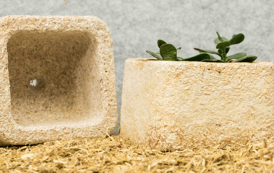 hacking-ecovative (Ecovative Design)