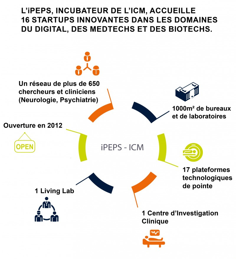 Le bioincubateur iPEPS-ICM (iPEPS-ICM)