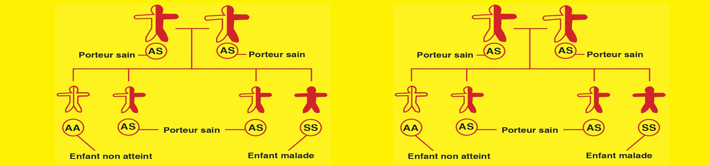 drepanocytose-paris.fr-1390x326.jpg (Ville de Paris) visuel drépanocytose 2019