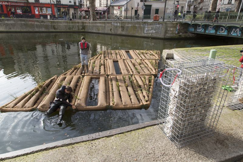 radeau végétalisé canal saint martin (François Grunberg / Ville de Paris)