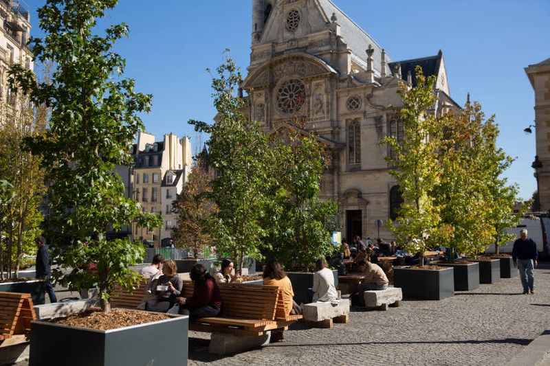 Arbre sur la place du Panthéon réaménagée (Joséphine Brueder / Ville de Paris)