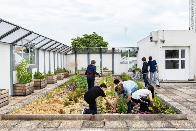 Potager collège Flora Tristan 20e (Emilie Chaix / Ville de Paris)