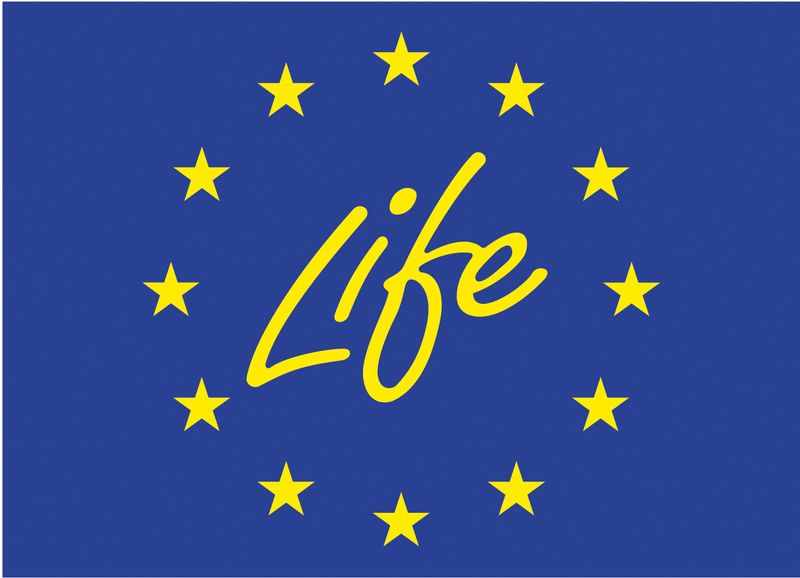 logo LIFE jpeg.jpg