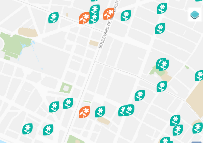 feuille.png